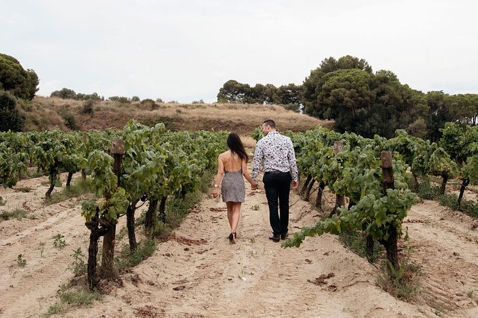 Private Breakfast Winery Experience - Private Wine Tasting Tour - Alella’s Vineyards and a 14th-Century Farmhouse Breakfast