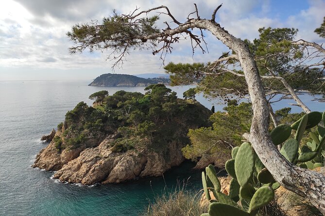 Private Costa Brava Hike and Snorkel from Barcelona with Lunch - Calella de Palafrugell lunch: the reward stop you actually savor