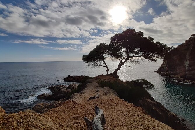 Private Costa Brava Kayak Experience with Snorkel from Barcelona - Why this Costa Brava kayak-and-snorkel day feels special from Barcelona