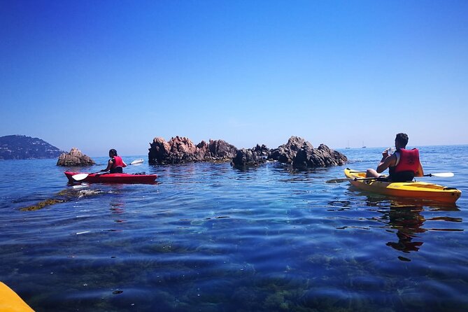Private Costa Brava Kayak Experience with Snorkel from Barcelona - The secluded cove stop: snorkeling time, marine life chances, and realistic expectations