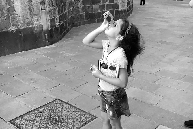 Private Family Experience - Dragon Tour in Barcelona for Kids - Price and Value: Is $117.21 per Person Worth It?