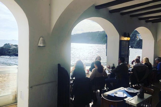 Private Girona Tour Costa Brava & Lunch Experience from Barcelona - The Costa Brava Shift: Calella de Palafrugell Beach Lunch Plan