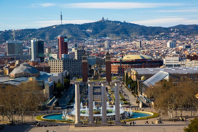 Private Montjuic Mountain Tour with Visit to Olympic Park and Plaza España - Price and logistics: is $217.24 per person a good deal?