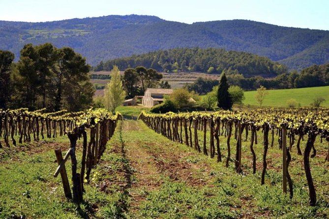 Private Montserrat Tour, Wine Taste & Local Lunch from Barcelona - Mercat de Montserrat: A Short Stop With Real Taste and Local Goods