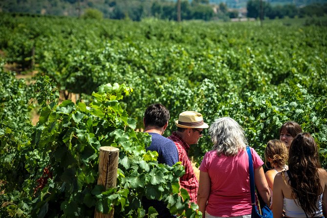 Private Montserrat with Wine Tasting Full Day Trip from Barcelona - Getting your pacing right: what the day feels like in real time