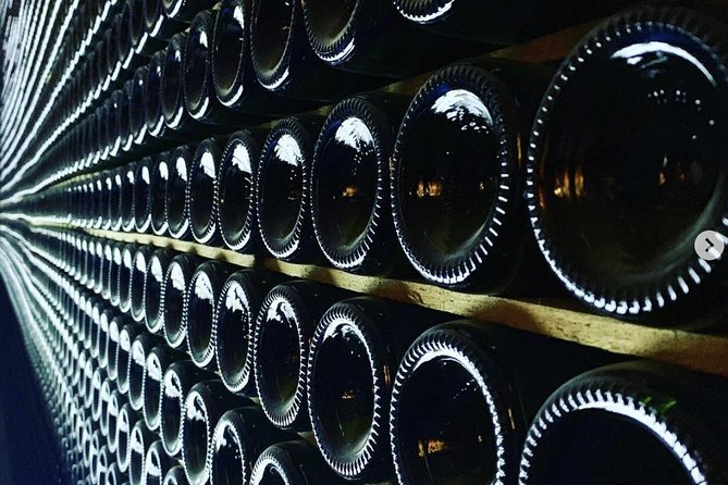 Private Tour: Top Three Organic Wineries & Local Lunch Included - Penedès makes the case for a real wine day outside Barcelona