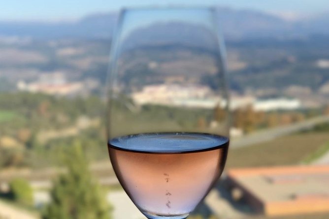 Private Tour: Top Three Organic Wineries & Local Lunch Included - Wine education you can actually use later