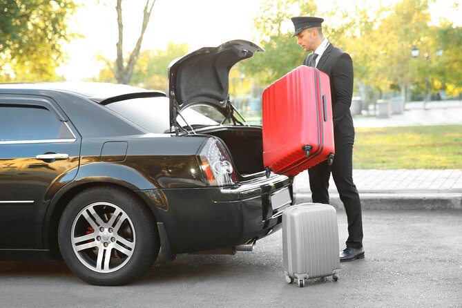 Private Transfer from Barcelona hotels to Barcelona Cruise Port - Cruise Port Drop-Off: Getting You to the Right Terminal