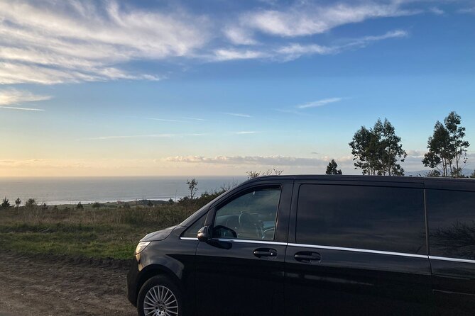 Private Transportation from Granada City to Malaga Airport - Who this transfer suits best