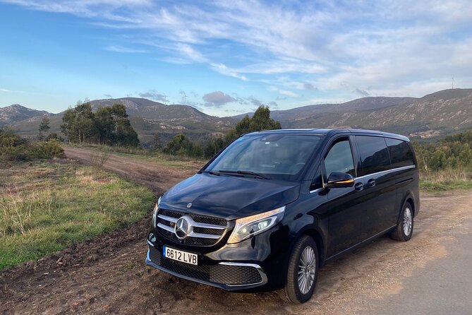 Private Transportation from Granada City to Malaga Airport - Should you book this Granada to Malaga Airport transfer?