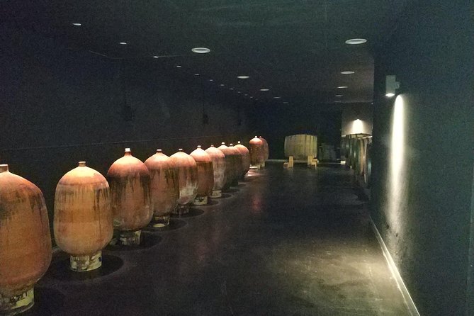 Private Wine & Cava Tasting Tour In Penedes with hotel pick up - Penedès from Barcelona: why this day trip feels smarter