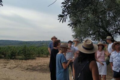 Private Wine & Cava Tasting Tour In Penedes with hotel pick up - The Montserrat sight on the drive: quick, iconic, and easy