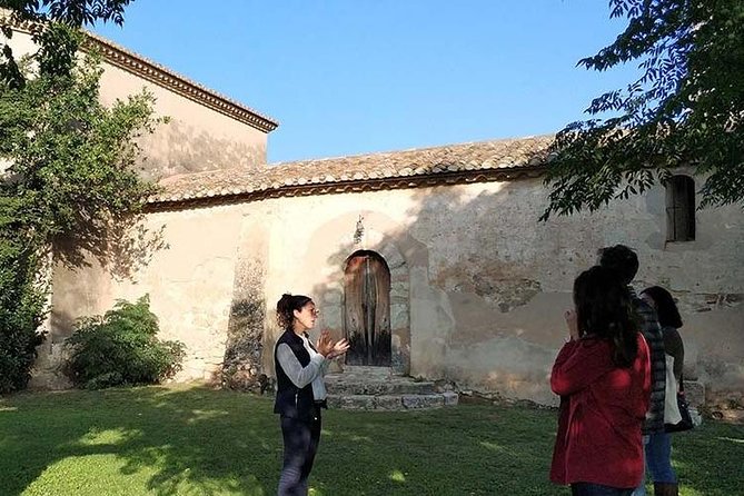 Private Wine & Cava Tasting Tour In Penedes with hotel pick up - The tasting spread: food that actually supports the flavors
