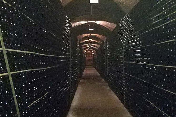 Private Wine & Cava Tasting Tour In Penedes with hotel pick up - Guides and drivers: when personality turns a tour into a memory