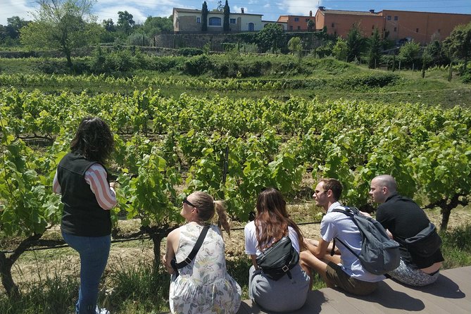 Private Wine & Cava Tasting Tour In Penedes with hotel pick up - Price and logistics: how to judge $421.03 per person fairly