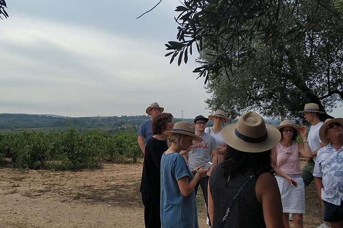 Private Wine & Cava Tasting Tour In Penedes with hotel pick up - The Montserrat sight on the drive: quick, iconic, and easy