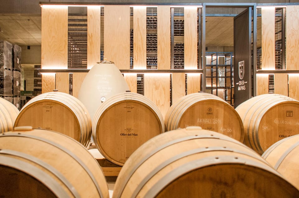 Private Wine, Tapas & Cava Experience from Barcelona - Comfort, timing, and what to pack for winery temperatures