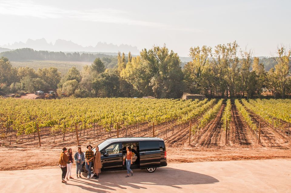 Private Wine, Tapas & Cava Experience from Barcelona - A private cava-and-wine day that feels more Catalan than touristy