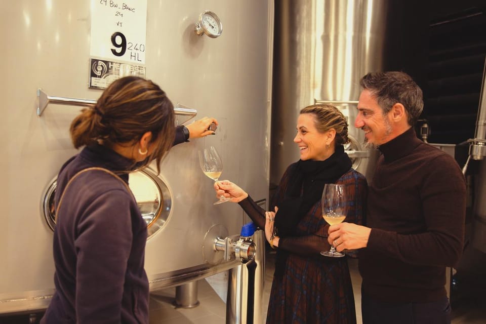 Private Wine, Tapas & Cava Experience from Barcelona - El Penedès at Ca N’Estella: cava tradition, cellar humidity, and countryside views
