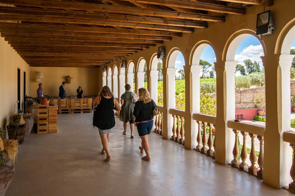 Private Wine, Tapas & Cava Experience from Barcelona - Pla de Bages at Oller del Mas: a castle visit with organic wine focus