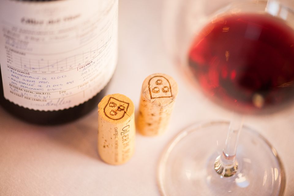 Private Wine, Tapas & Cava Experience from Barcelona - Tapas in the wine workflow: what to expect with your pours
