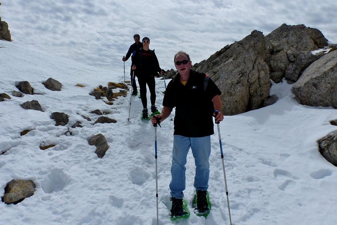 Pyrenees Hiking from Barcelona - Puigmal and the big views: what the main hike feels like