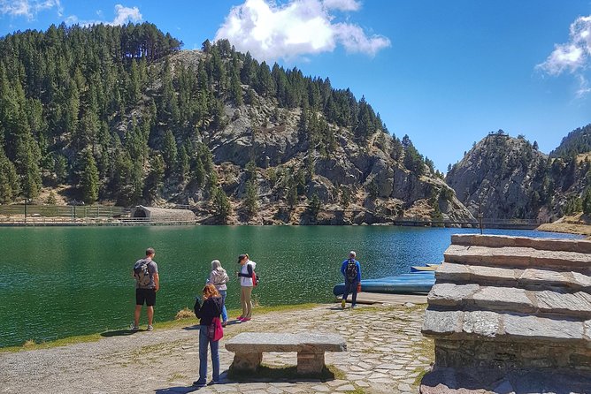 Pyrenees Mountain Train and Nature Walk - Pace, Wildlife Chances, and Why the Guide Matters