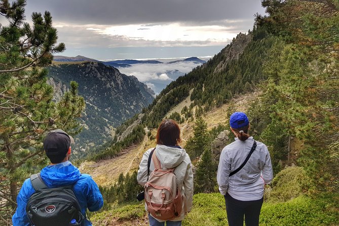 Pyrenees Mountain Train and Nature Walk - The Real Fit: Who This Tour Is Best For
