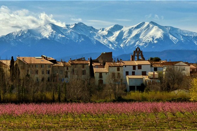 Pyrenees Private Tour from Barcelona with Easy Hike & Cogwheel Train - The Cremallera de Núria cogwheel ride: short, scenic, and memorable
