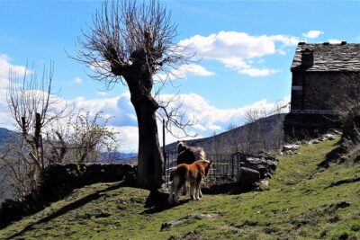 Pyrenees Private Tour from Barcelona with Easy Hike & Cogwheel Train - Getting out of Barcelona without losing the day to traffic