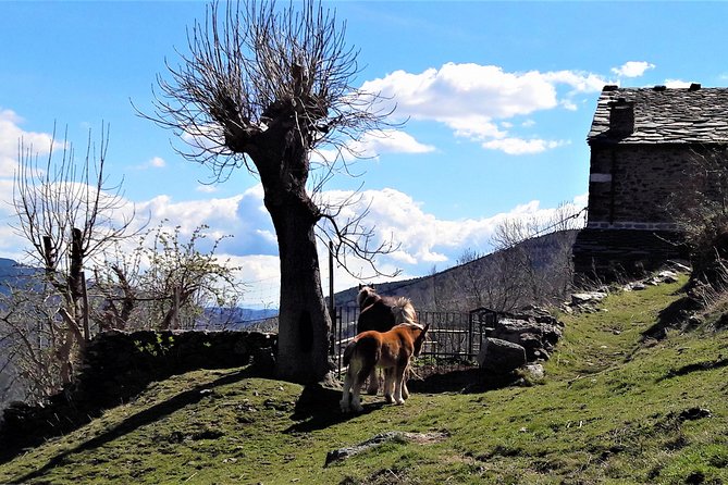 Pyrenees Private Tour from Barcelona with Easy Hike & Cogwheel Train - Getting out of Barcelona without losing the day to traffic