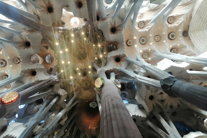 Sagrada Familia and Park Guell Guided Tour with Transport - Transport logistics: smooth van transfer, not a long day of transit