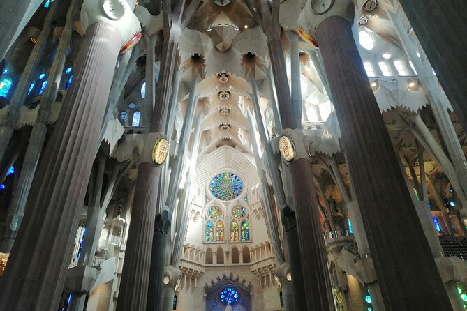 Sagrada Familia Skip The Line Guided Group Tour with Options - La Sagrada Familia: Nativity Façade, stained glass, and the stone forest