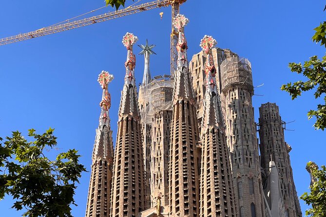 Sagrada Familia Tour with Express Entry and Local Guide - Group size and the pace you should expect