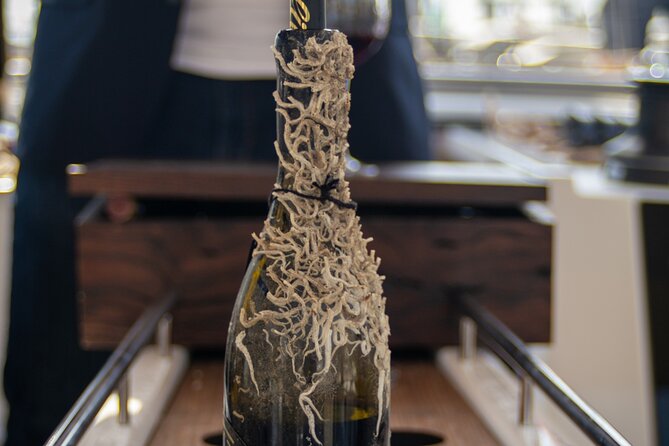 Sailing Tour and Tasting of Submarine wines on board - Seeing Barcelona’s Icons Like a Local From the Sea