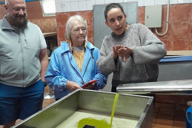 Tarragona Culinary Experience: Olive Oil & Iberian Ham Delight - Lunch In A Traditional Ham And Cheese Bar: The Included Part You’ll Actually Remember