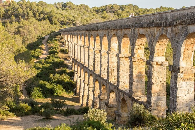 Tarragona Culinary Experience: Olive Oil & Iberian Ham Delight - Who This Tour Fits Best (And Who Should Consider Something Else)