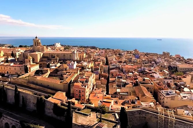 Tarragona Private Tour with Hotel Pick Up - Tarraco Museum area, the model, and walking among real Roman bones