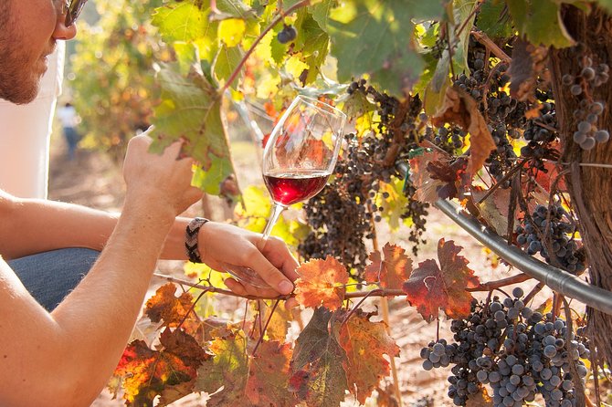 The Essence of Priorat | Private Wine Tour from Barcelona - Getting Out of Barcelona: Private Pickup and a Smooth Start