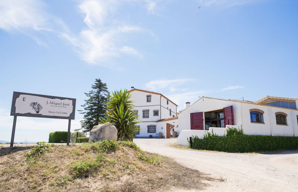 Vilafranca del Penedès: Winery Visit with Tastings - Key highlights to know before you go