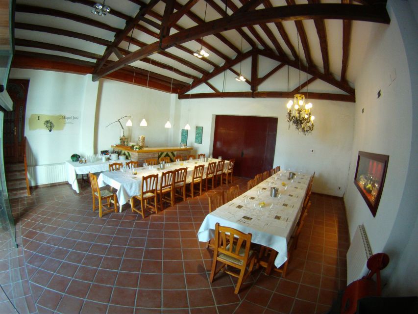 Vilafranca del Penedès: Winery Visit with Tastings - Vineyard walk: where the tour becomes real