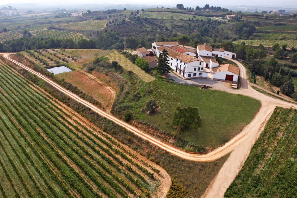 Vilafranca del Penedès: Winery Visit with Tastings - Touring the ageing cellars and the warehouse