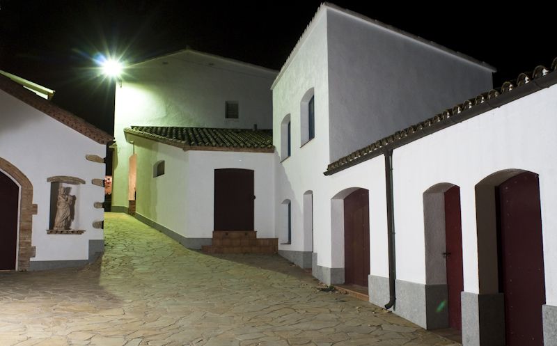 Vilafranca del Penedès: Winery Visit with Tastings - The tasting course: four wines with a method you can reuse
