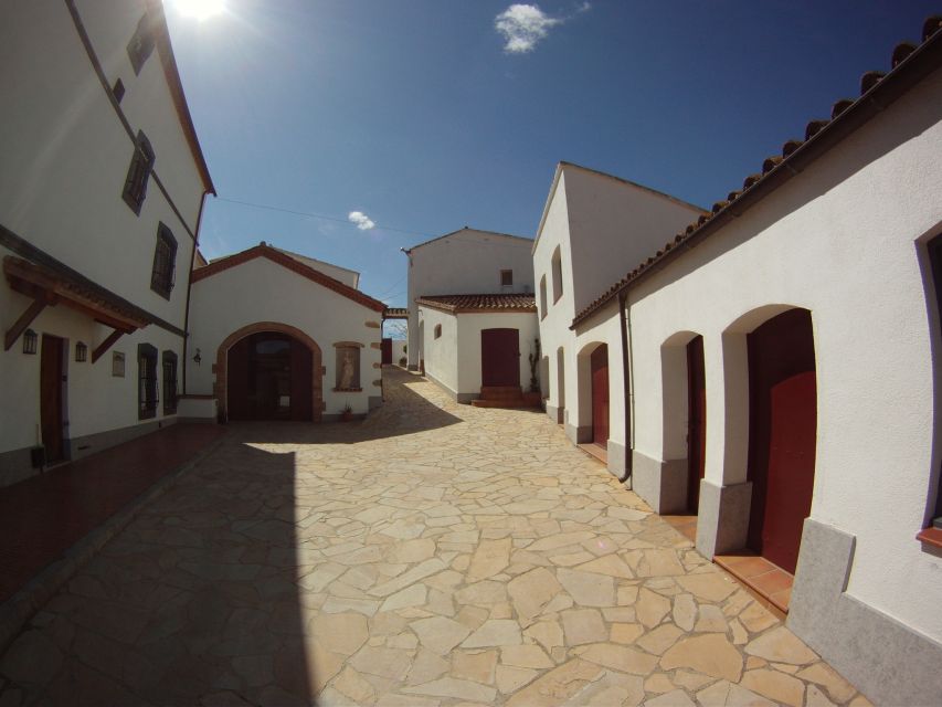 Vilafranca del Penedès: Winery Visit with Tastings - Price and value: $41 for a structured wine lesson