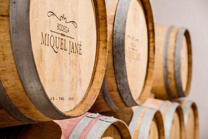 Viticulture and Wine-Tasting 3-Hour Trip from Barcelona - Alt Penedès in 3 hours: what this day trip really gives you
