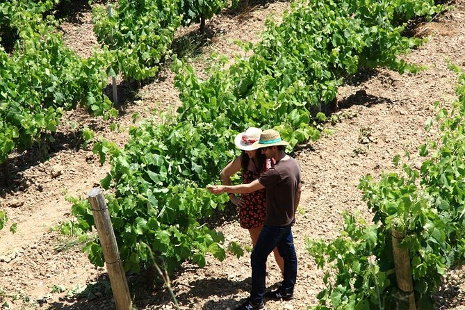 Viticulture and Wine-Tasting 3-Hour Trip from Barcelona - Who this tour fits best (and who might want something else)