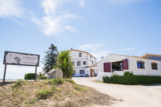Viticulture and Wine-Tasting 3-Hour Trip from Barcelona - Start at Bodega J. Miquel Jané: timing, meeting point, and group size