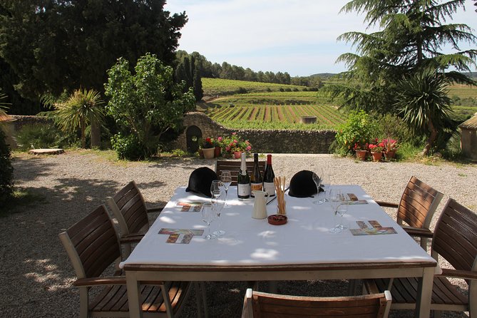Wine & Cava Penedes Tour: Wineries, Wine Tasting and Tapas - Key Highlights and What They Mean for You