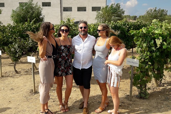 Wine & Cava Penedes Tour: Wineries, Wine Tasting and Tapas - Timing, weather, and how to plan your day smoothly