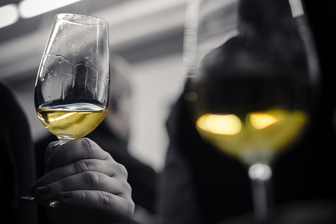 Wine Tasting Experience in Barcelona - Key Takeaways Before You Go